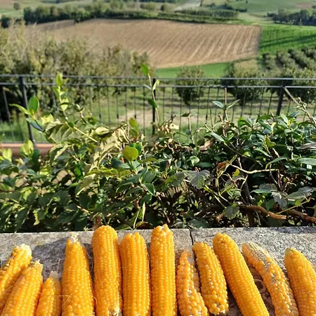 San Rocco Di Di Isola D'asti Bed & Breakfast 3*